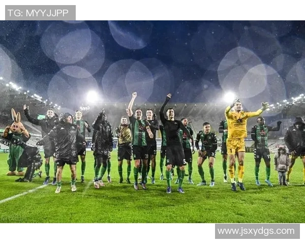 荷兰足球明星的璀璨星空及其在国际赛场上的辉煌成就