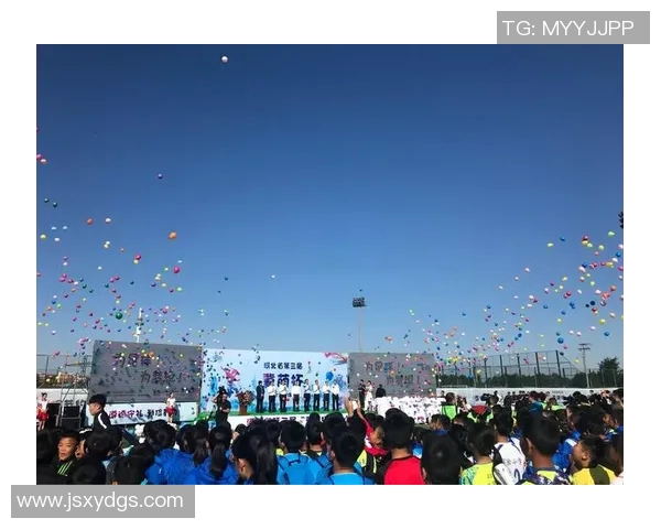 我的偶像足球明星500：追寻绿茵场上的传奇与梦想之旅