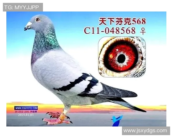 中国日本意大利足球明星的辉煌历程与传奇故事探秘